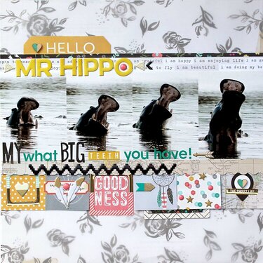 Hello Mr Hippo