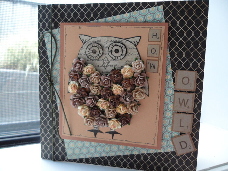 hoo owl&#039;d? - old farts birthday card!