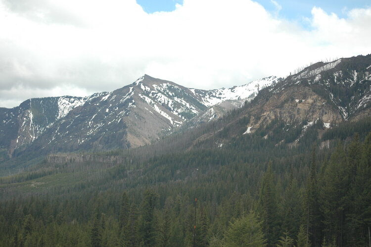 Beartooth Mountains