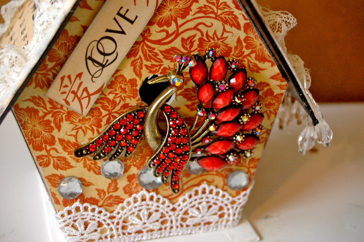 Altered Bird Song Bird House Closeup