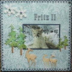 FRITZ II   My First Grandbaby!