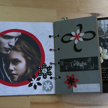 Twilight paperbag album