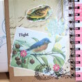 Altered Notebook