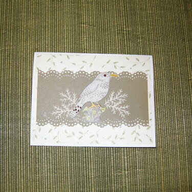 Bird Bday card