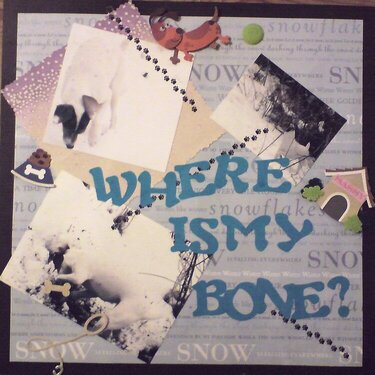 Where&#039;s my bone?