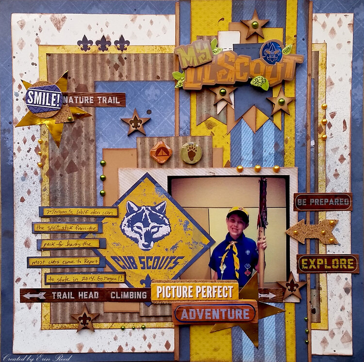 Cub Scout **Paper House &amp; Unique Laser Designs**