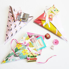 Paper Cone Treat bags