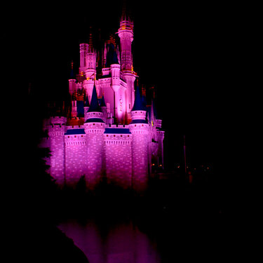 Cinderella&#039;s Castle