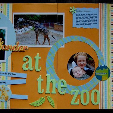 Wonder at the Zoo