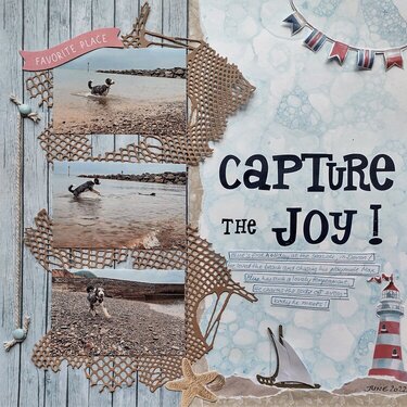 Capture The Joy!