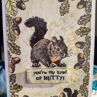 You&#039;re My Kind Of Nutty!