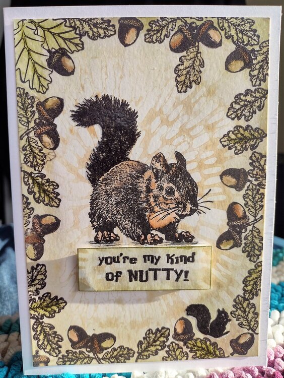 You&#039;re My Kind Of Nutty!