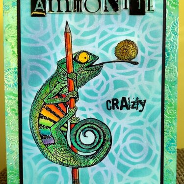 Ammonite Crazy