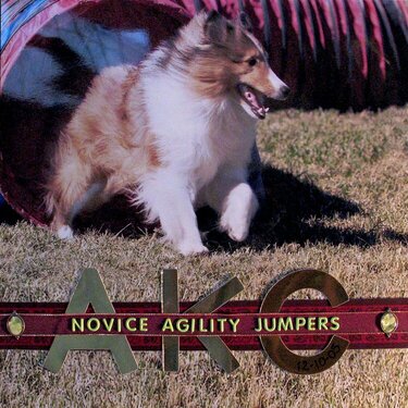 Novice Agility Jumpers