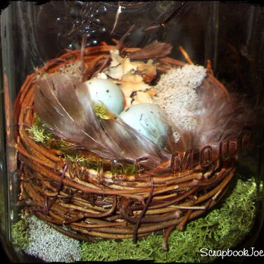 Nest inside jar