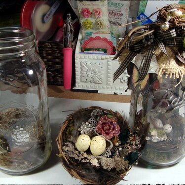 bird nest and nest jars