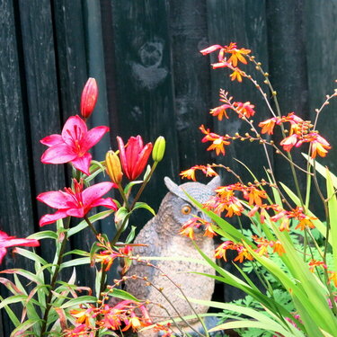 owl and  the flowers