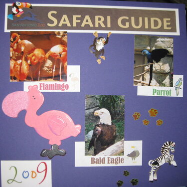 Safari guide