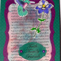 Hummingbird and Columbine Card