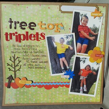 Tree Top Triplets