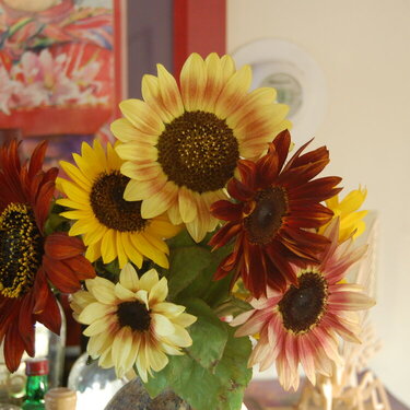 Florida sunflowers