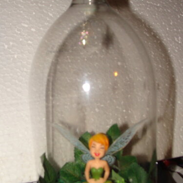 Laughing Fairy in a Home Dome