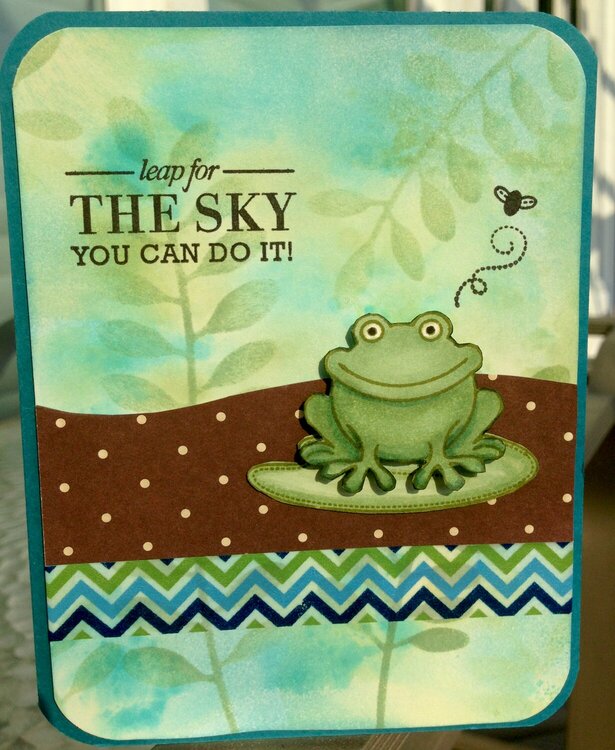 For Trevor, a frog lover!