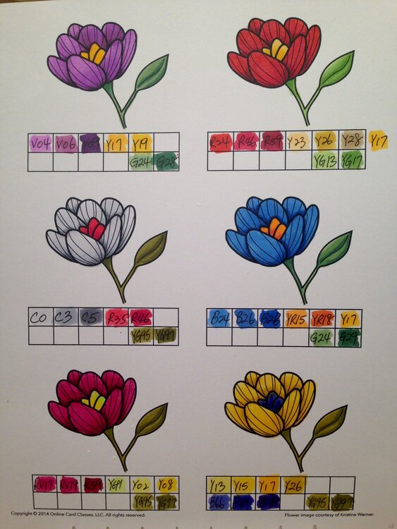 Copic class Flowers