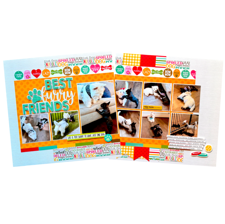 Best Furry Friends