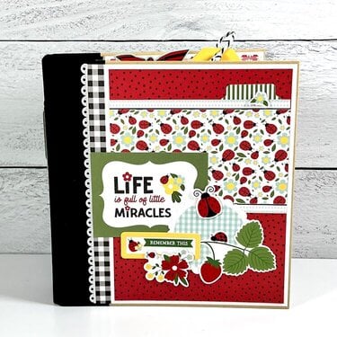 Little Miracles Scrapbook Album Kit