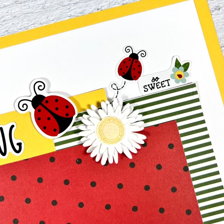 12x12 Cute As A Bug Scrapbook Layouts