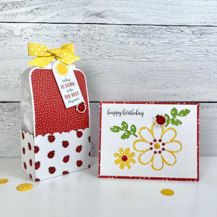 Ladybug Birthday Card &amp; Gift Box
