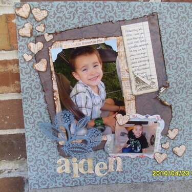 Aiden i love you &#039;the color room&#039; pallet 2 my 2010 album