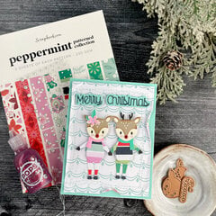 Colored Paper Sample Book – Print Peppermint