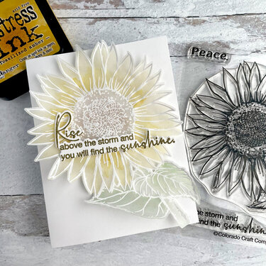 Ukraine Sunflower Card