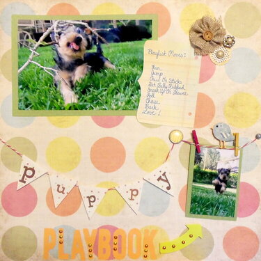 Puppy Playbook