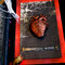Tell Tale Heart Mixed Media Book Box