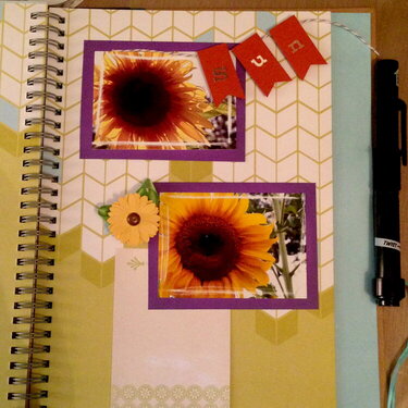 Sunflowers *Smashbook*