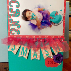 Birthday Cake Smash (2) custom DVD case