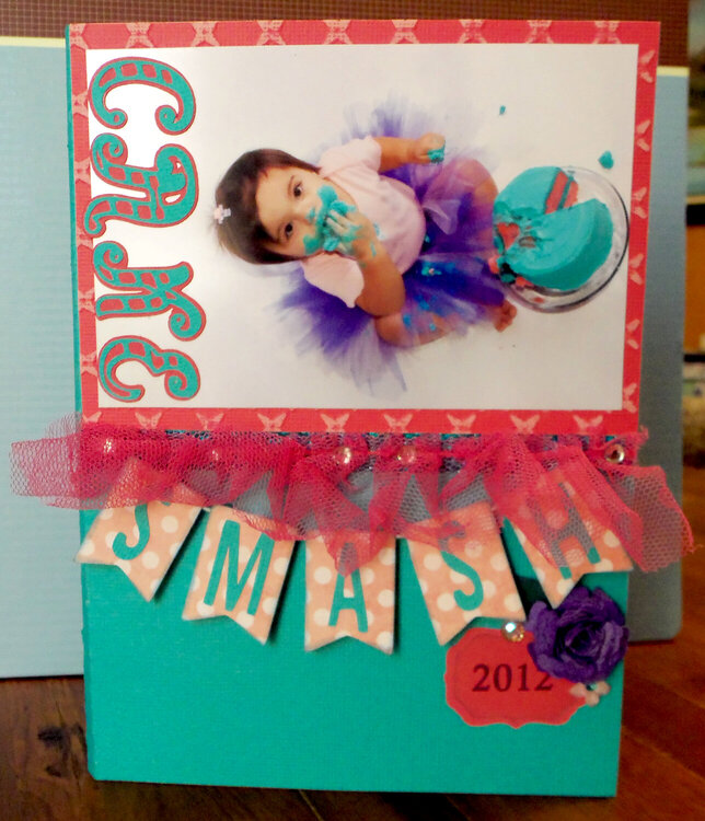 Birthday Cake Smash (2) custom DVD case