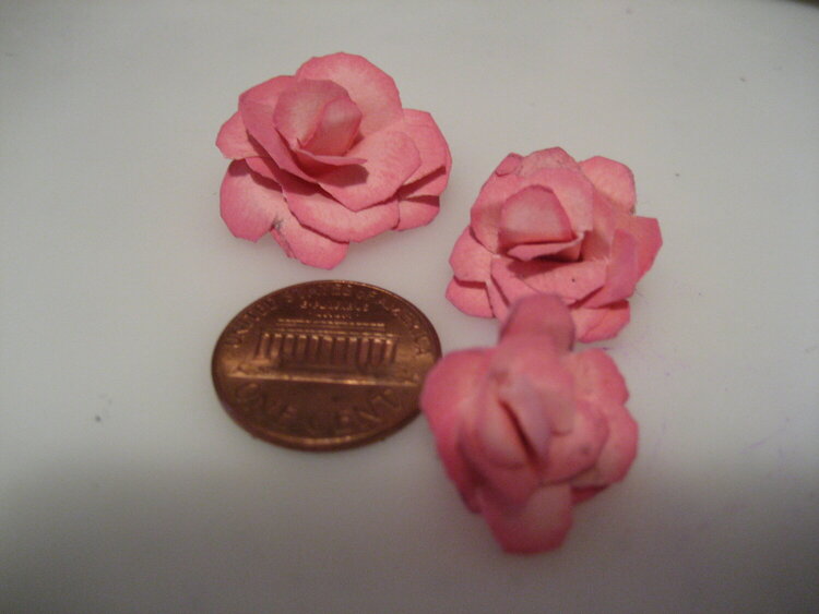 Penny Roses