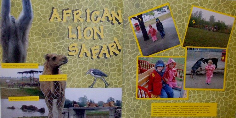 African Lions Safari