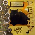 Sweet Ebby Bug
