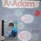 ABCs of Adam