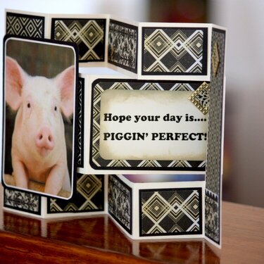 Piggin&#039;Perfect, side