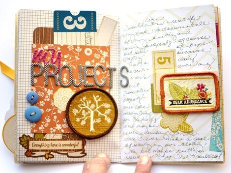 Sew Fun DayBook *American Crafts*