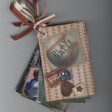 Baseball 4x6 mini book