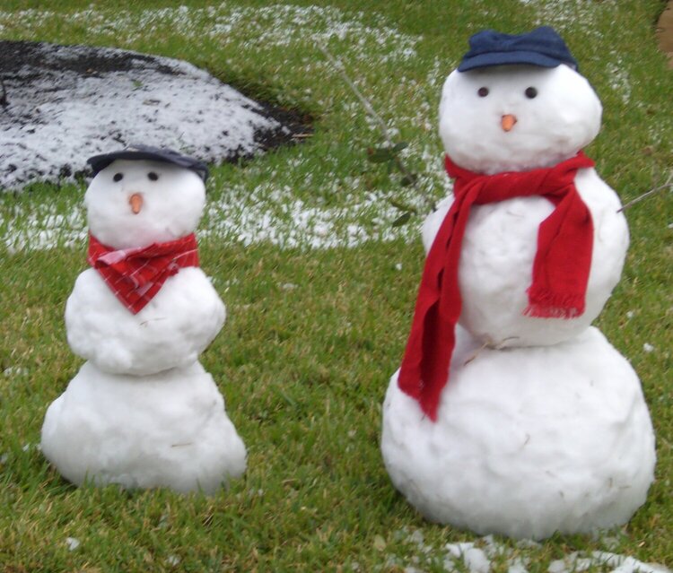 Dec POD #3 - Snowmen in Texas