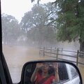 Apalachicola River at Neal's Landing 2