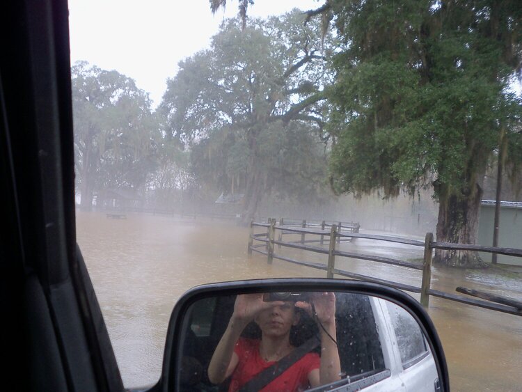 Apalachicola River at Neal's Landing 2